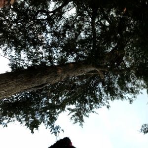 Meet your Posher, Amalia